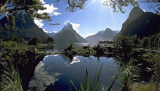 Природа Новой Зеландии 